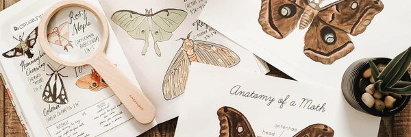 teach_reed Profile Banner