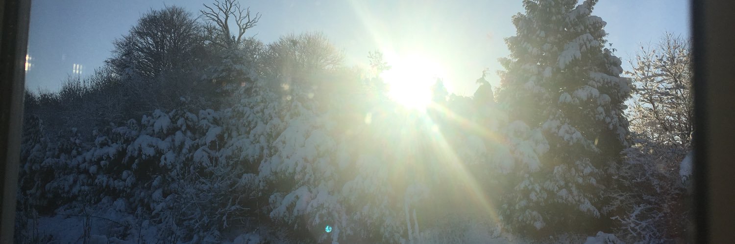 Donnaparton's profile banner image