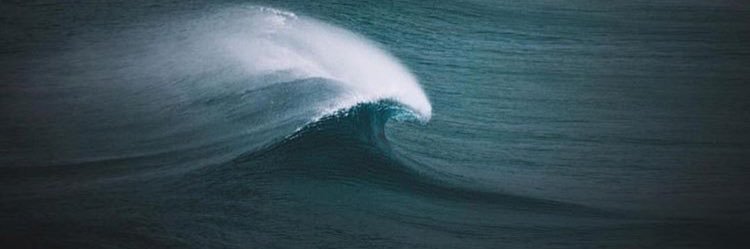 meaganblech's profile banner image