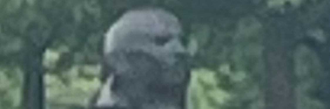 vim_sonny's profile banner image