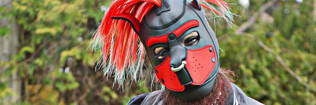 Alpha_Dog_Storm's profile banner image