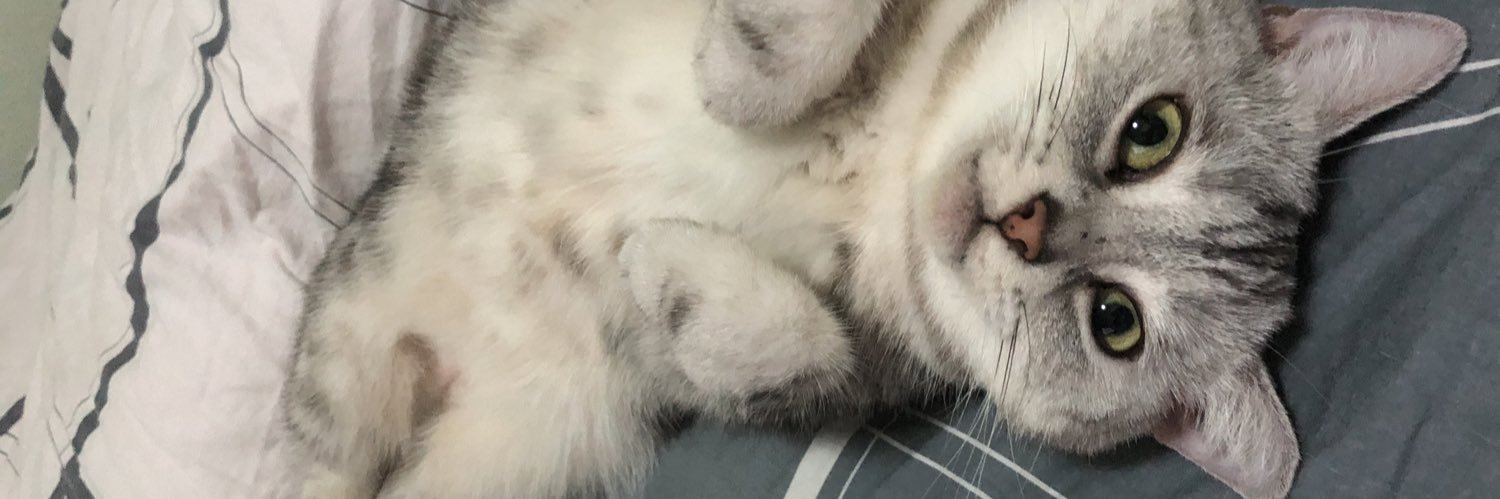 nightgodkit's profile banner image