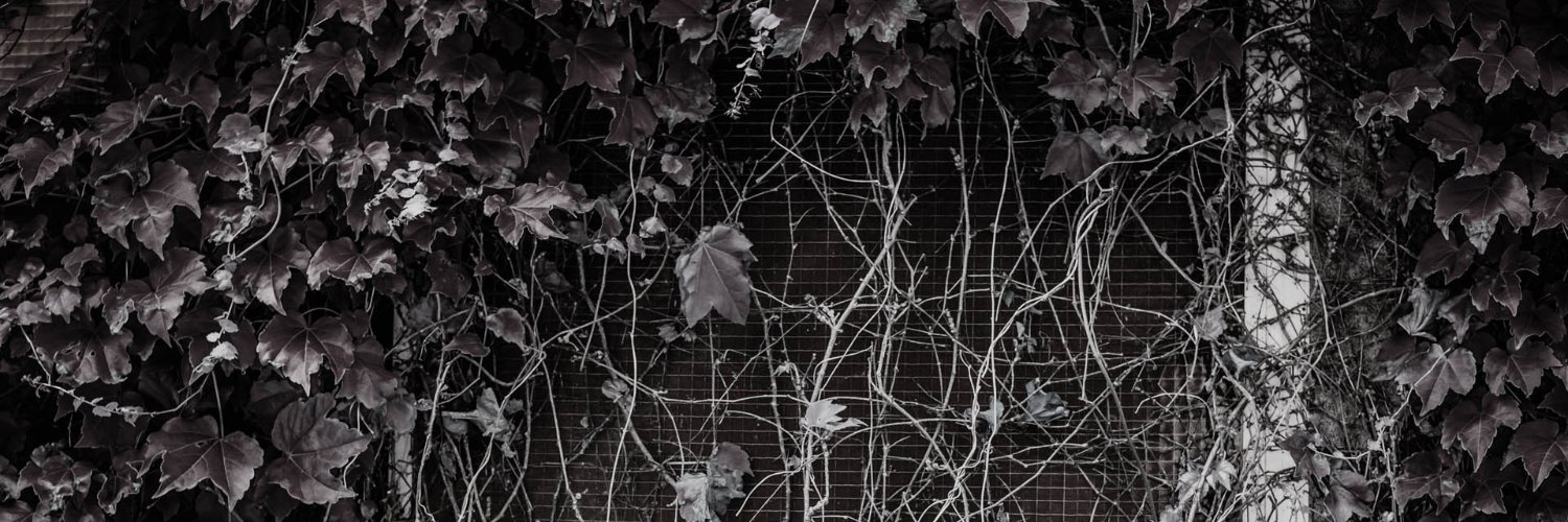 utataneringo's profile banner image