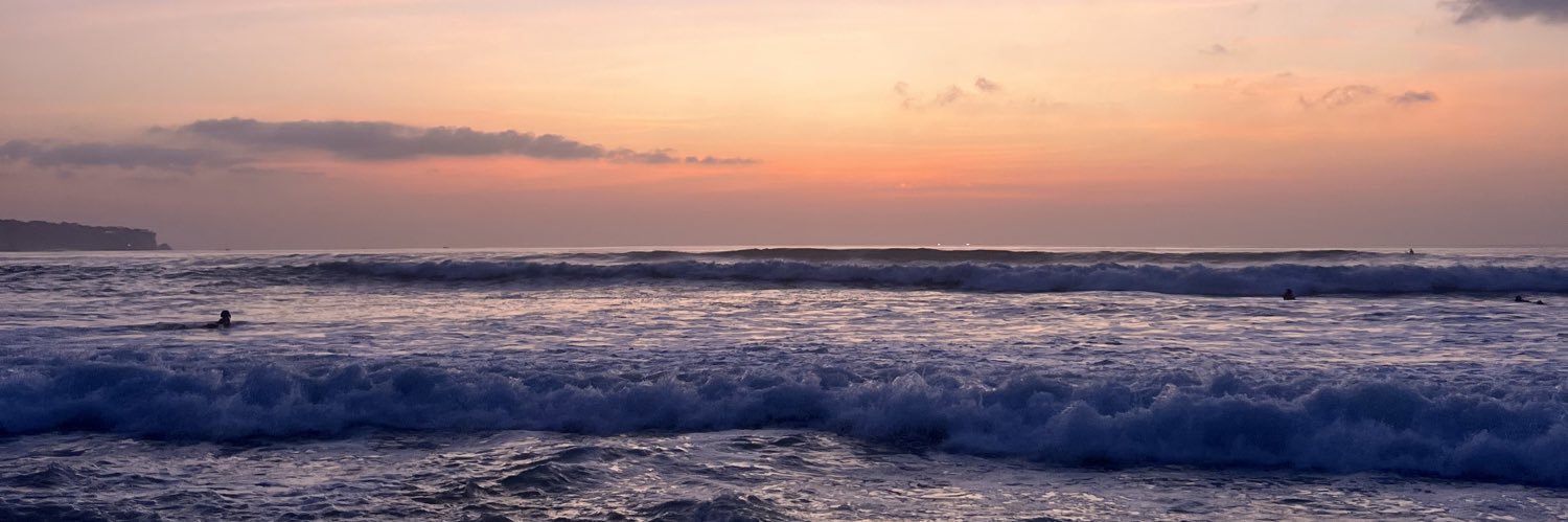 Triptii Dimri banner