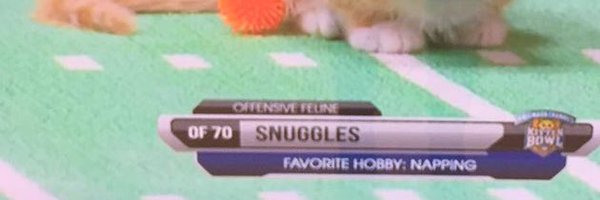 callmepandey Profile Banner