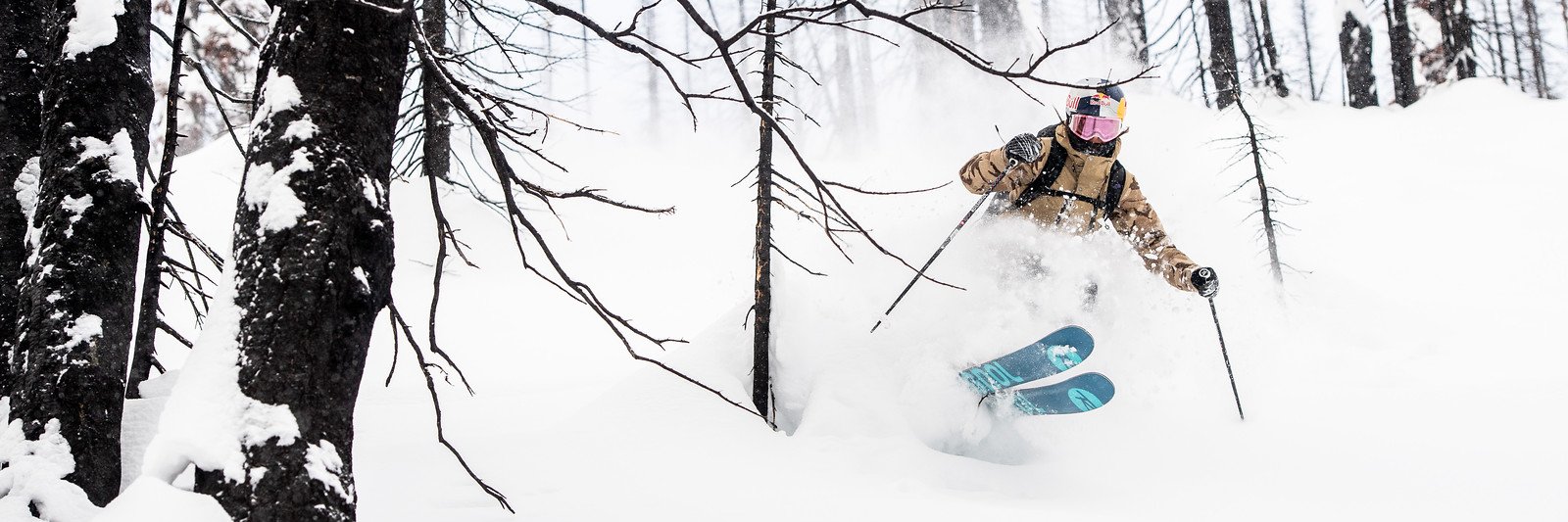 rossignol_1907's profile banner image
