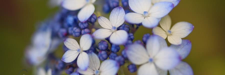 harmony140's profile banner image