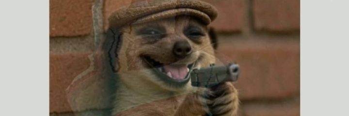 Seyispect's profile banner image