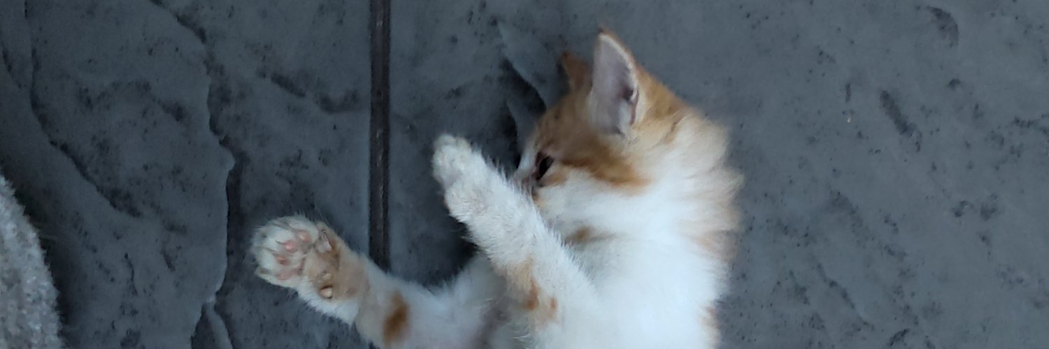 HarisMaula's profile banner image