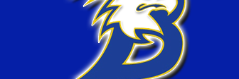ElementaryEagle's profile banner image
