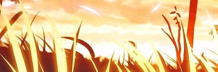 TVedukr's profile banner image