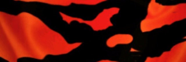 SAPMAPPUNDIP's profile banner image