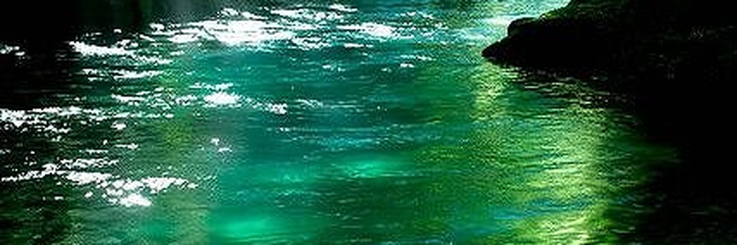 mindnfocus's profile banner image