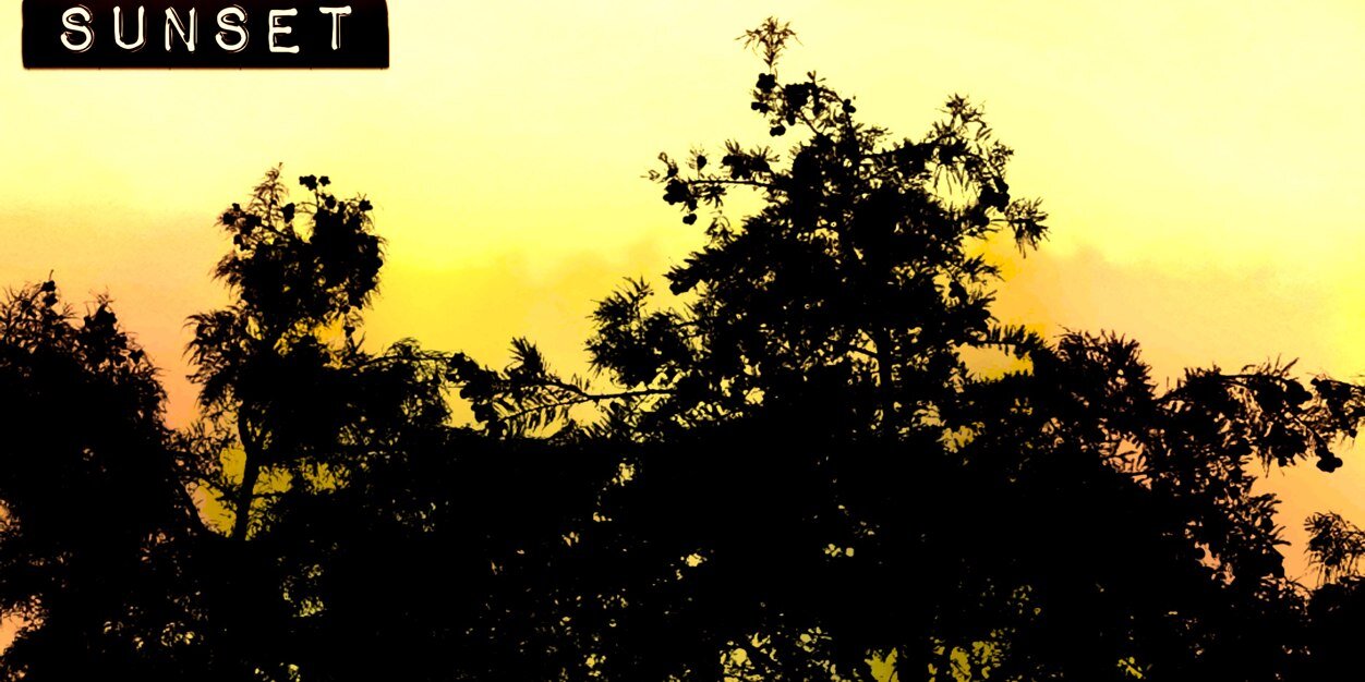Sammykb11's profile banner image
