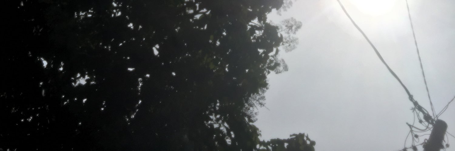 didignk's profile banner image