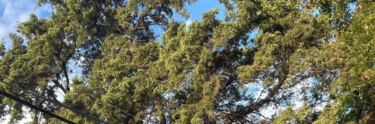jackynicolec's profile banner image