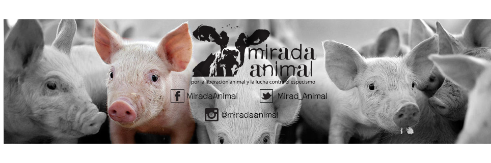 Mirad_Animal's profile banner image