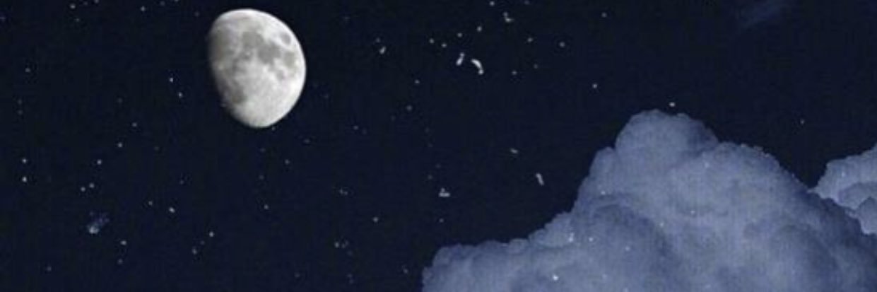 najd16's profile banner image