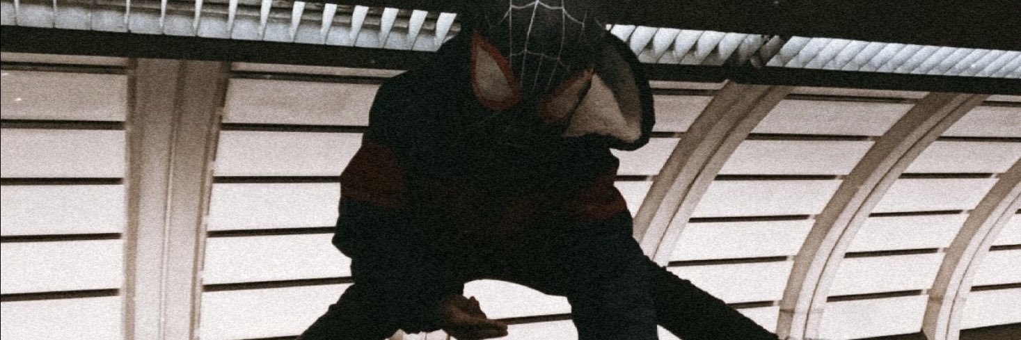ceedaavibe's profile banner image