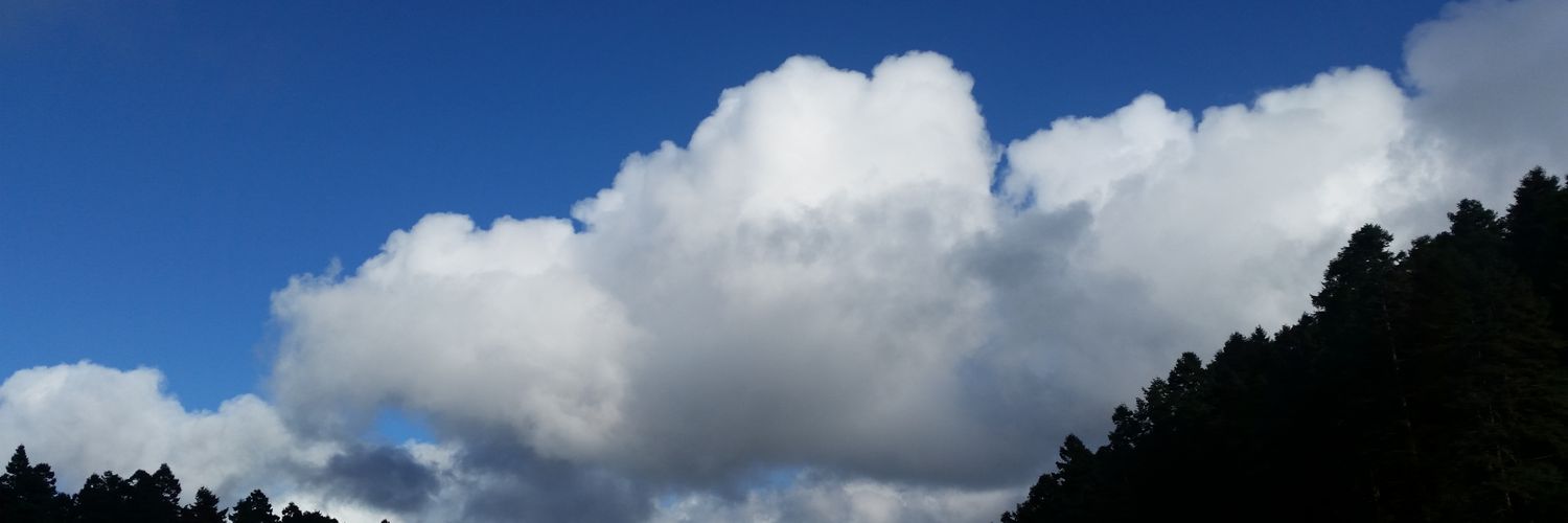 PauWaldo's profile banner image