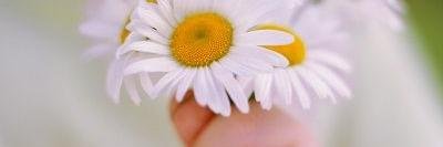 eabs_eabs's profile banner image