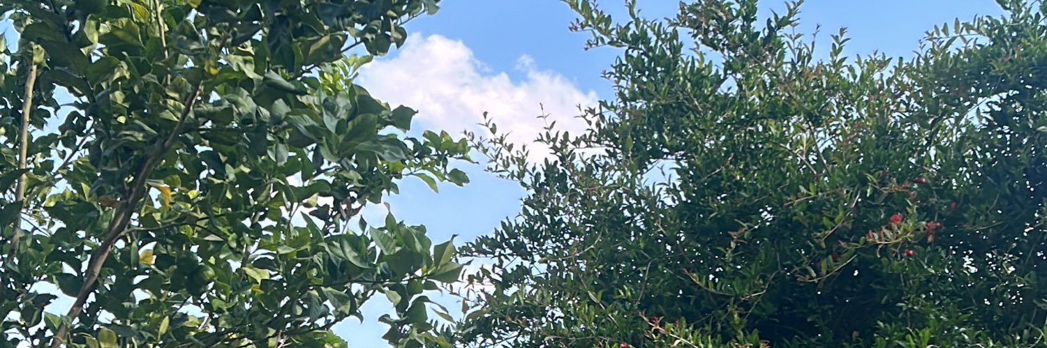 aisha75__'s profile banner image