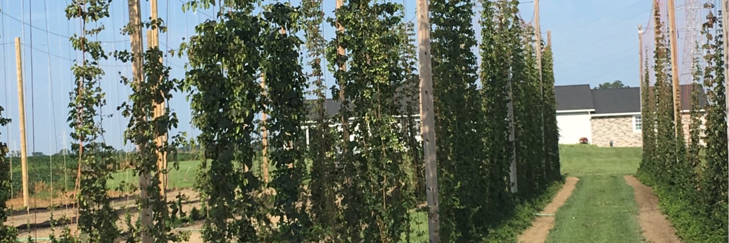 ArcadiaHops's profile banner image