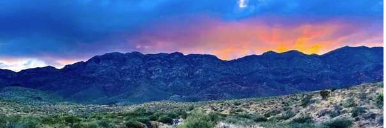 Angela🌵🌄 banner