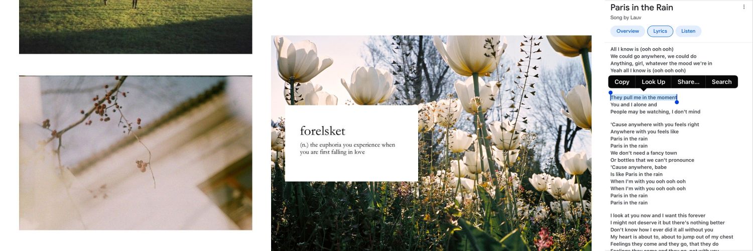 ℬ𝒾ℯℯ •ᴗ• banner