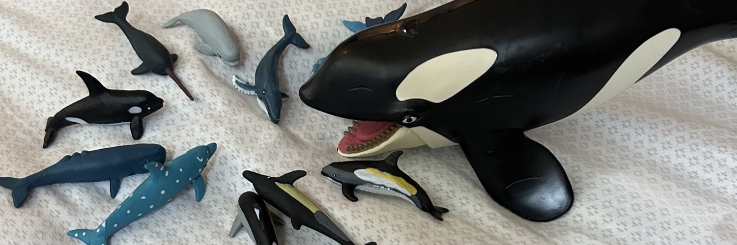 Alfie Mandall MacKenzie RMG-CBD banner