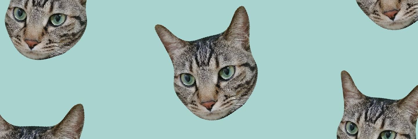 Kkingkawa's profile banner image