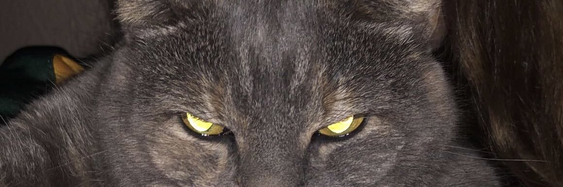 PubaChrist's profile banner image