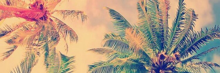 ericvlc's profile banner image