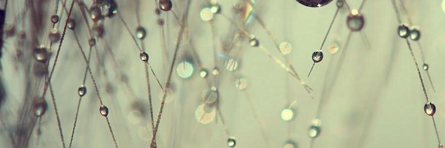 SimplySassyMama's profile banner image