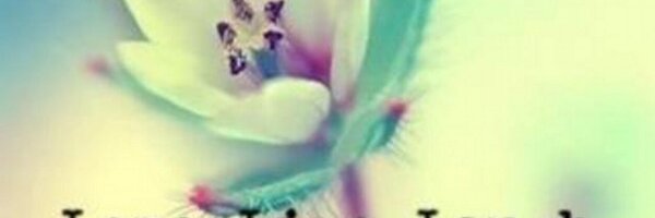 denyzmoral Profile Banner