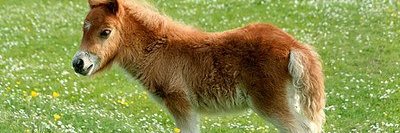 kerihusa1's profile banner image
