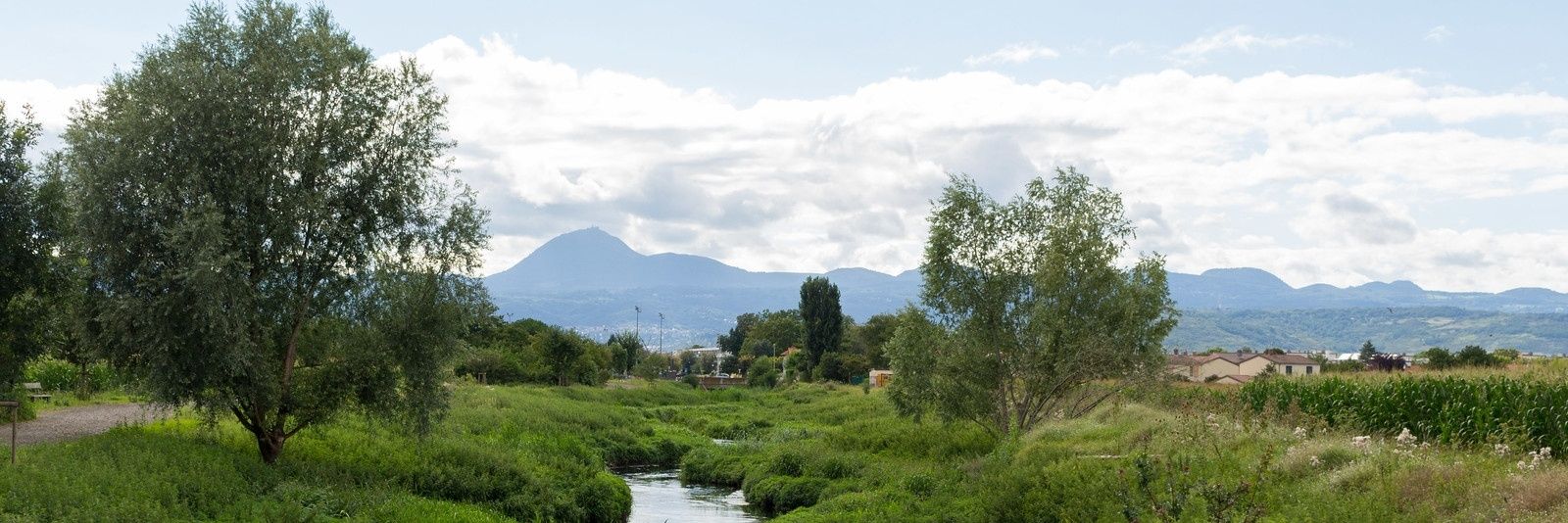 Bérénice Batut banner