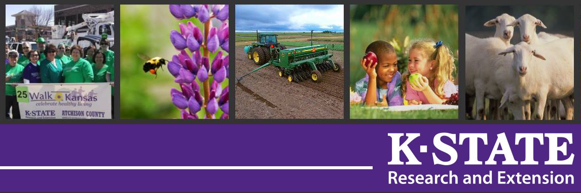 PottCoExt's profile banner image