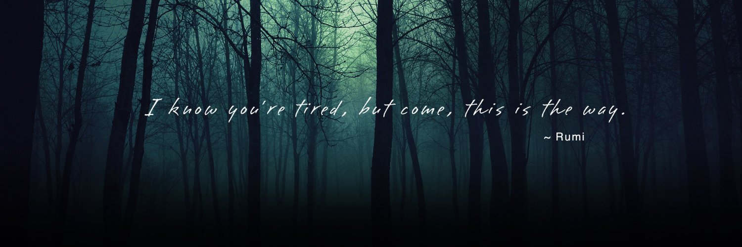 LesCt banner