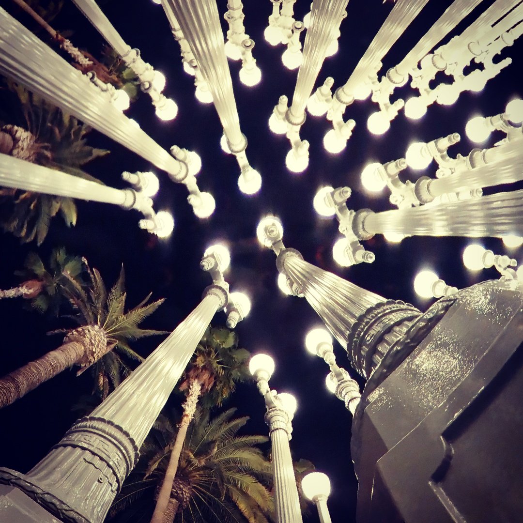 Erica Franklin banner