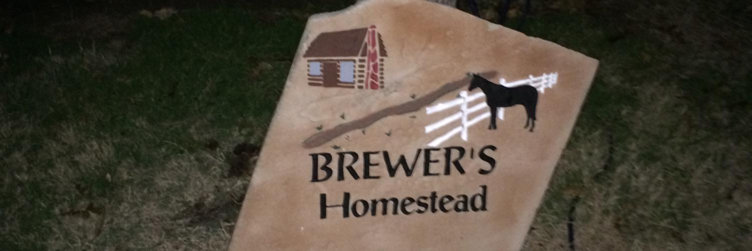 dbrewer0419's profile banner image