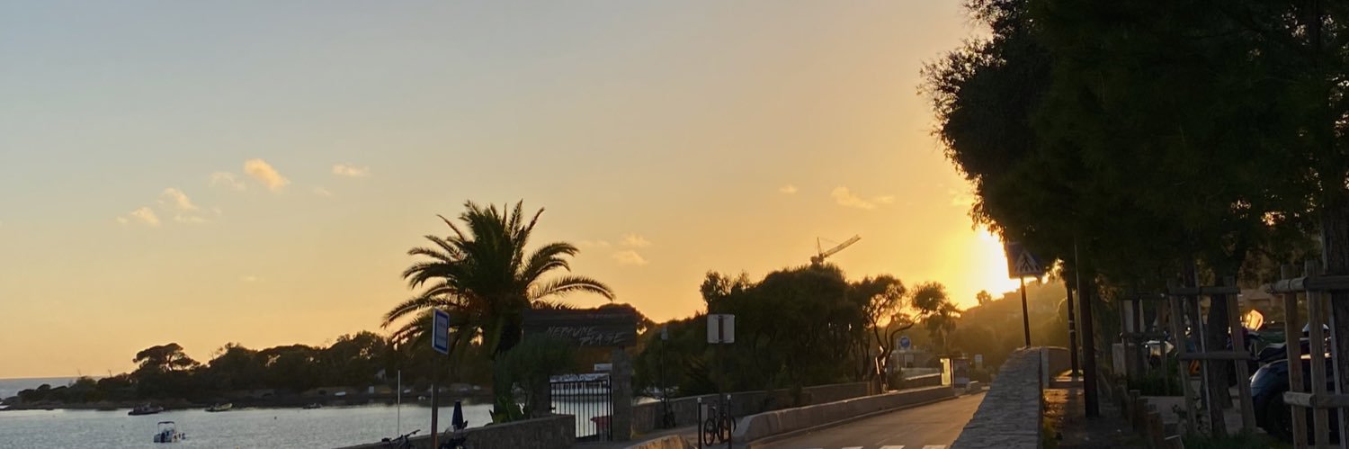 elisecfn's profile banner image