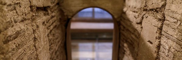 Proava Profile Banner