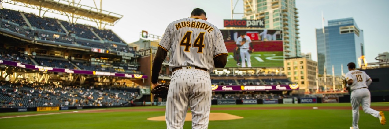 Diane Musgrove banner