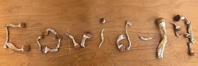 Cameronhauser26's profile banner image