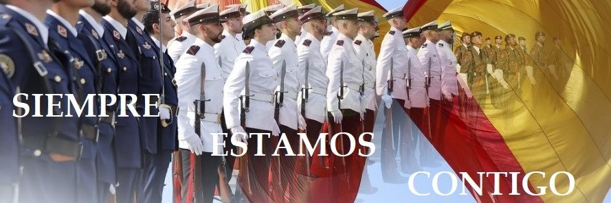 sermilitar_es's profile banner image