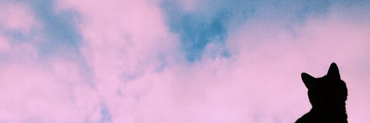 fionajdutton's profile banner image