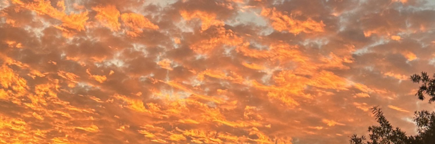 cey_roses's profile banner image