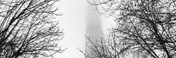 wwjdan_3's profile banner image