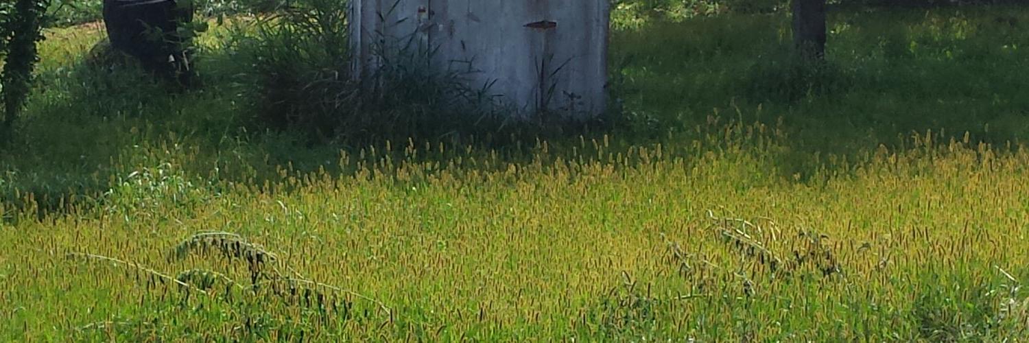 JenniMarie1121's profile banner image